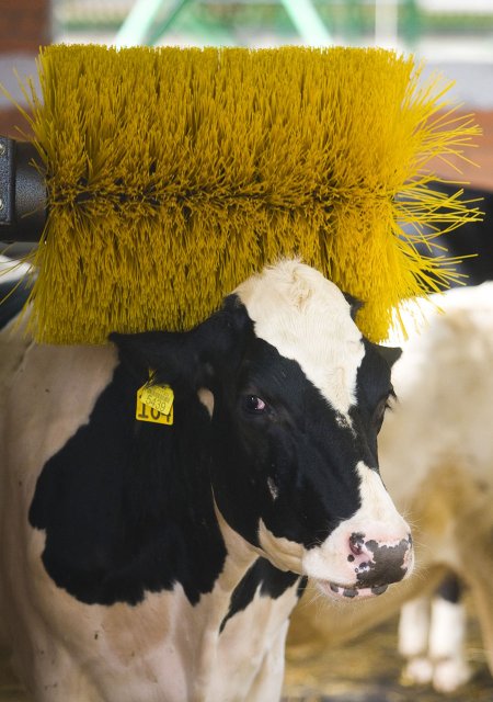BD Agro AD 44.jpg, 233 KB